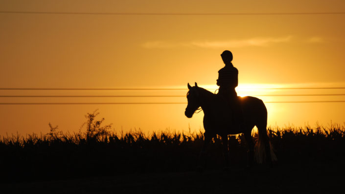 Reiten