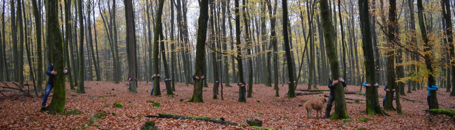 Waldbaden